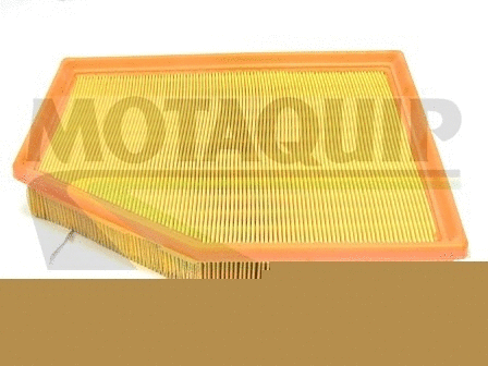 Air Filter (VFA1164)