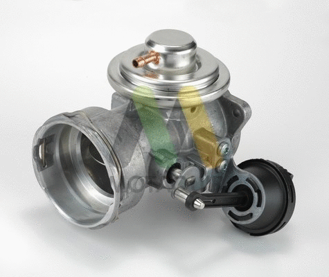EGR Valve (LVER243)