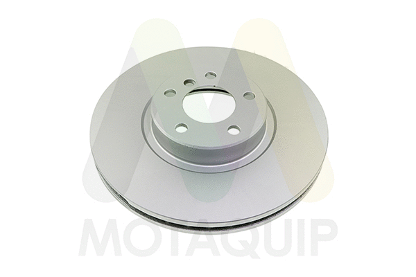 Brake Disc (LVBD1329Z)