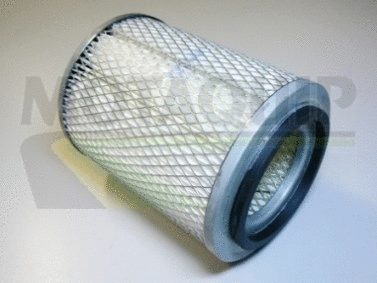 Air Filter (VFA66)