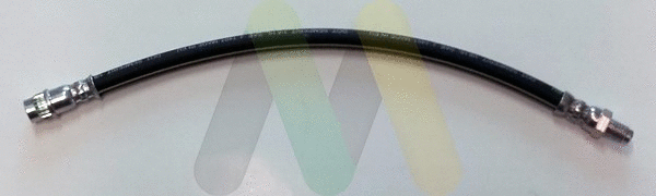 Brake Hose (LVBH1728)