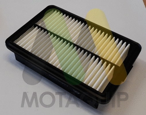 Air Filter (LVFA1683)