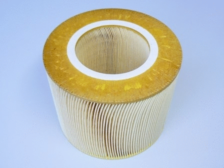 Air Filter (VFA893)