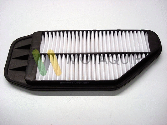 Air Filter (LVFA1487)