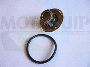 Thermostat, coolant (VTK169)