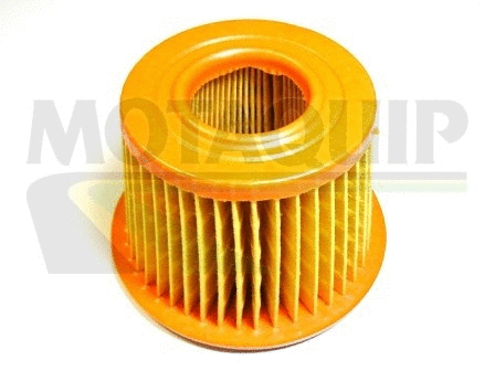 Air Filter (VFA169)