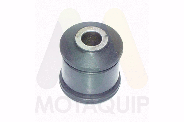 Bushing, axle beam (LVSK1279)