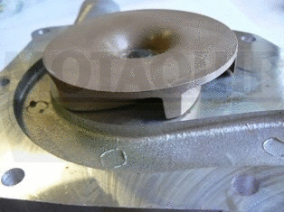 Water Pump, engine cooling (VWP800)