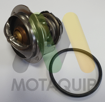 Thermostat, coolant (LVTK209)