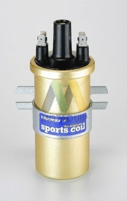 Ignition Coil (LVCL219)