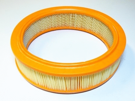 Air Filter (VFA137)