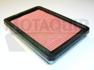 Air Filter (VFA776)