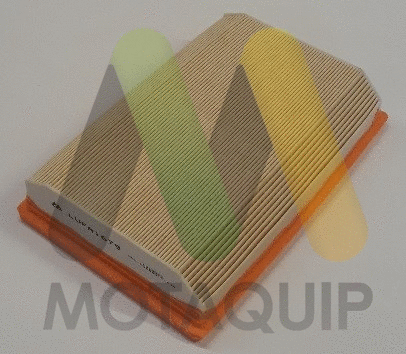 Air Filter (LVFA1679)