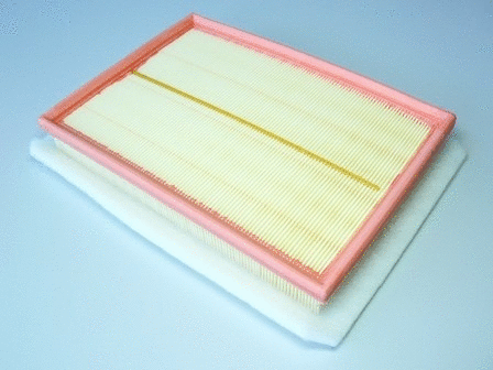 Air Filter (VFA1111)