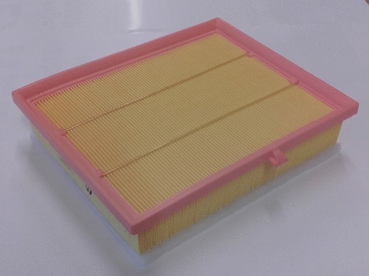 Air Filter (LVFA1589)