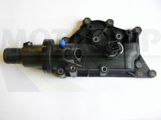 Thermostat, coolant