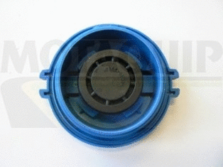 Cap, coolant tank (VCR248)