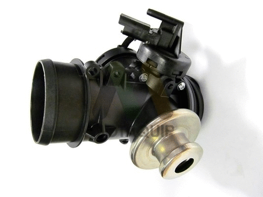 EGR Valve (LVER297)