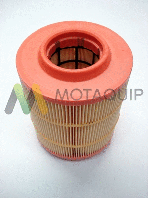Air Filter (LVFA1421)