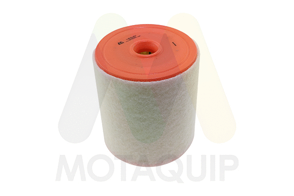 Air Filter (LVFA1457)