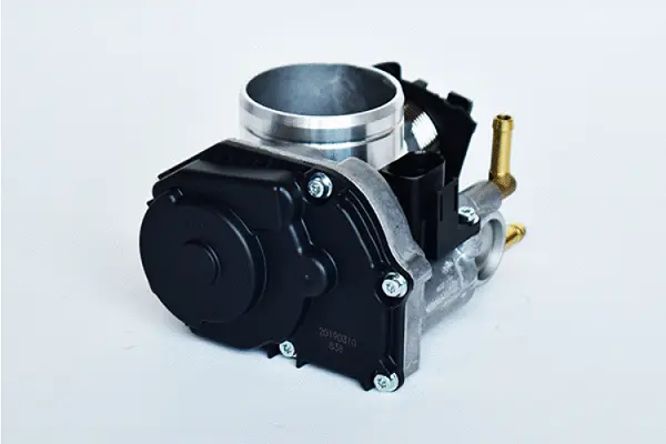 Throttle Body (75390)