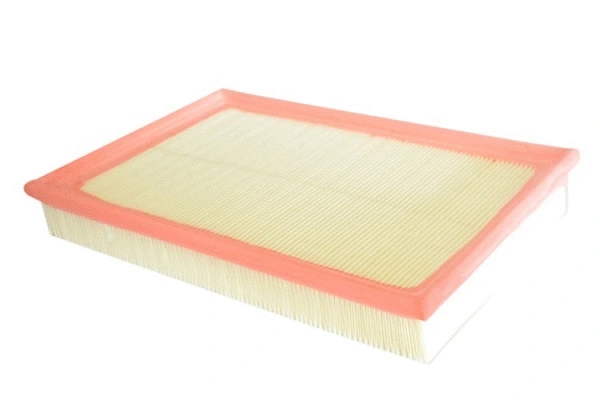 Air Filter (70274)