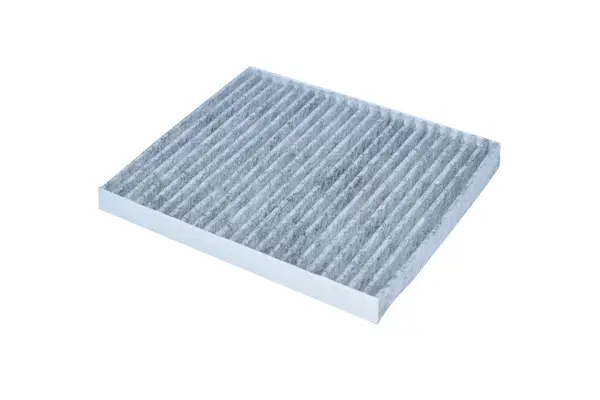 Filter, cabin air (79825)