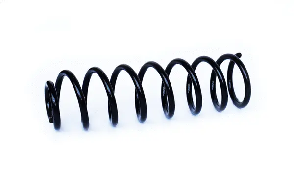 Suspension Spring (73779)