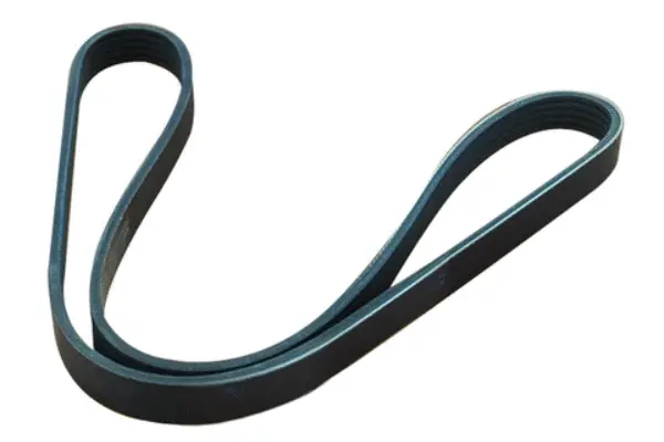 V-Ribbed Belt (55986)