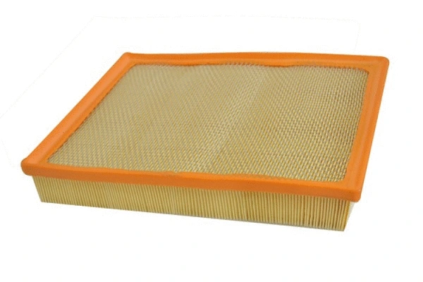 Air Filter (70309)