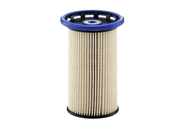 Fuel Filter (70161)
