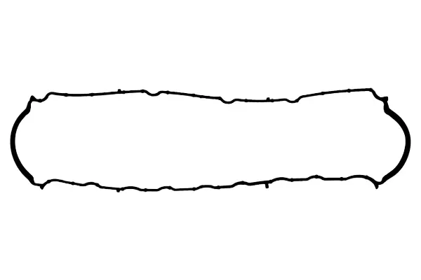 Gasket, cylinder head cover (55583)