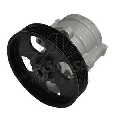 Hydraulic Pump, steering (30619)