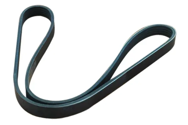 V-Ribbed Belt (55987)