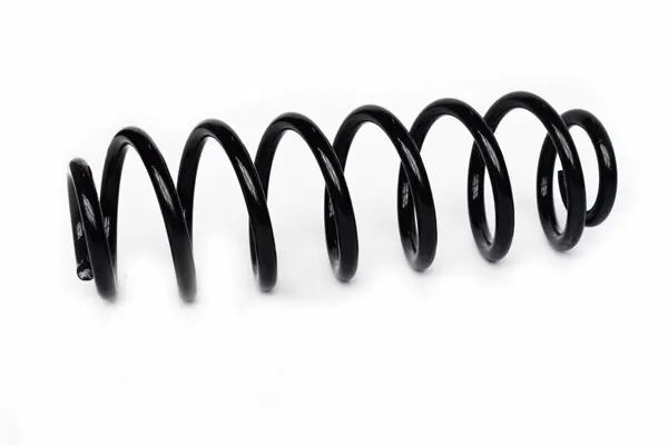 Suspension Spring (73780)