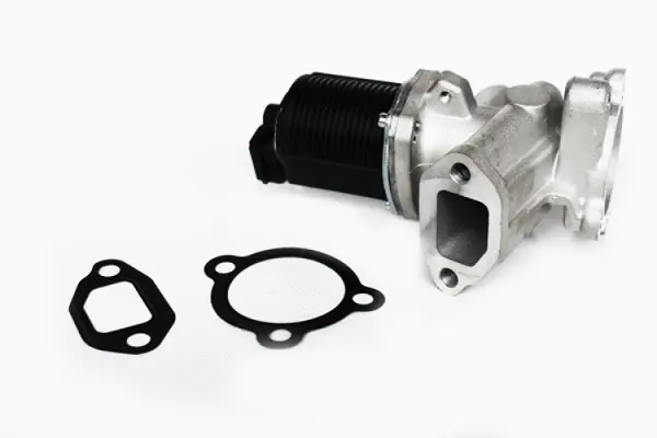 EGR Valve (73405)