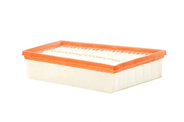 Air Filter (70173)