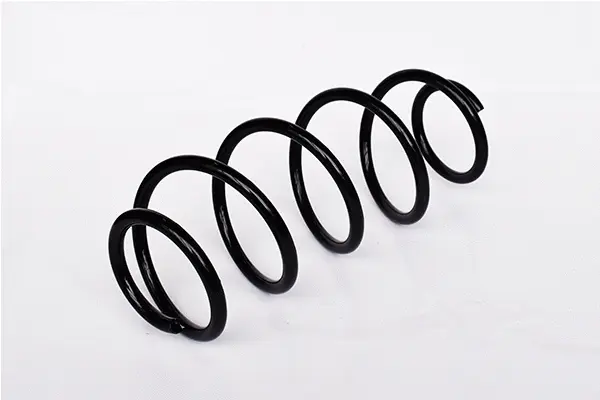 Suspension Spring (73804)