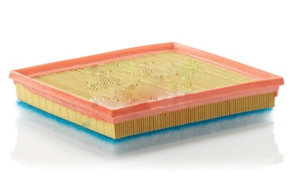 Air Filter (70860)