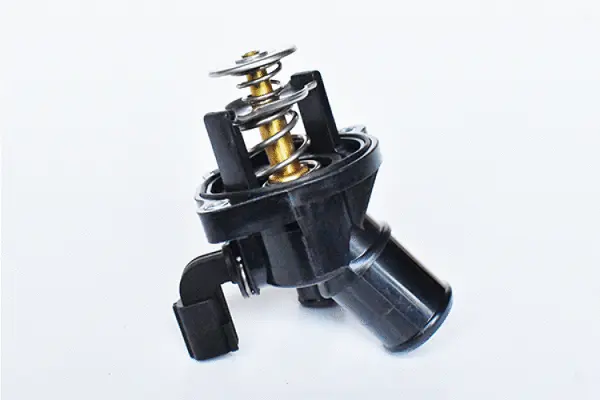Thermostat, coolant (73309)