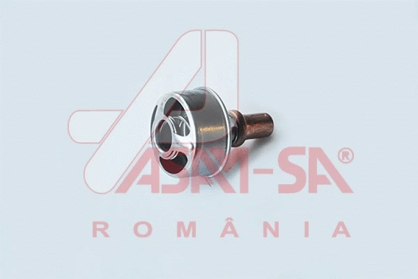 Thermostat, coolant (32677)