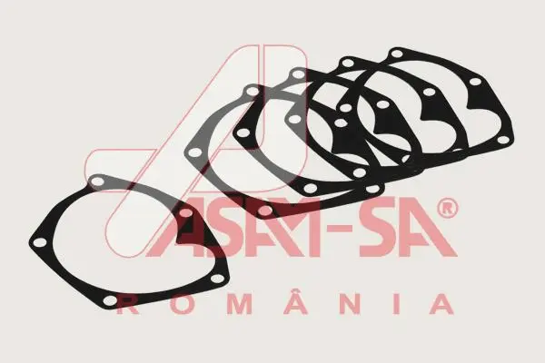 Gasket, water pump (32221)