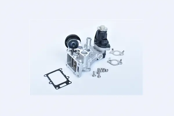 EGR Valve (74623)