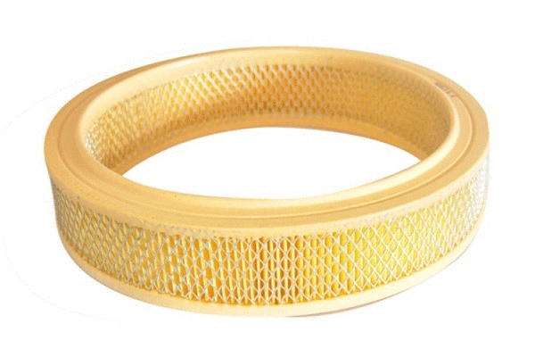 Air Filter (70300)
