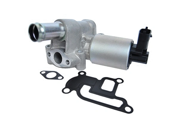 EGR Valve (74177)