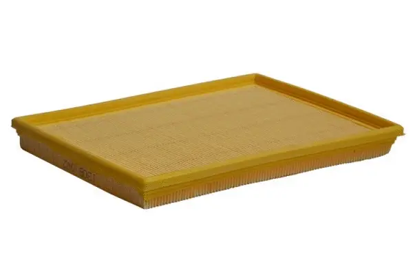 Air Filter (70338)
