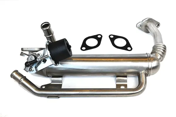 EGR Valve (76920)