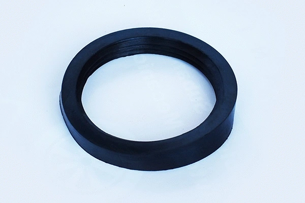 Seal, air filter housing (55578)