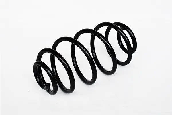 Suspension Spring (73796)