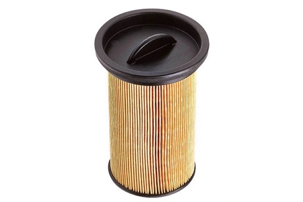 Fuel Filter (71989)